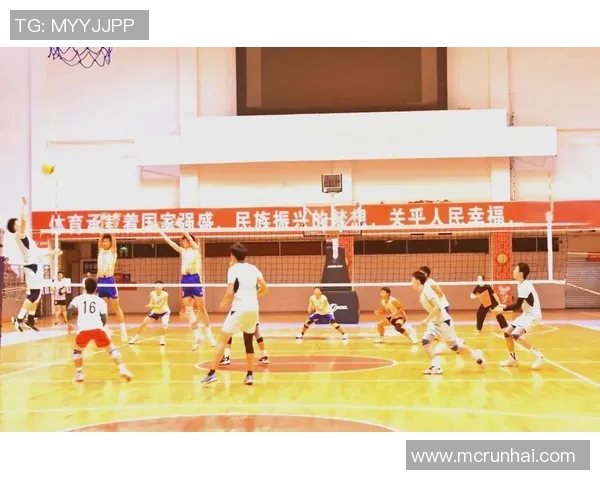 重庆排球队比赛经验的创新与变革引发热议